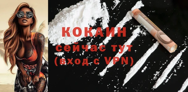 2c-b Горняк