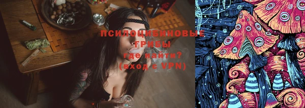 2c-b Горняк