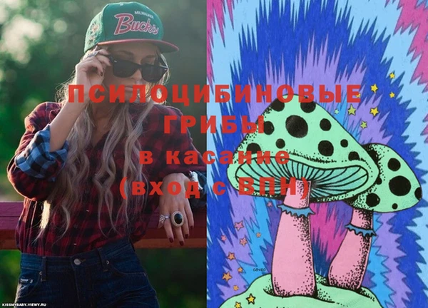 mdma Горнозаводск